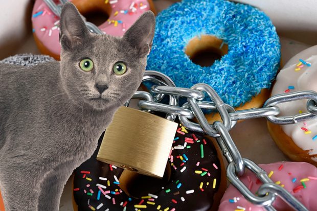 18-animal-facts-youve-never-thought-of