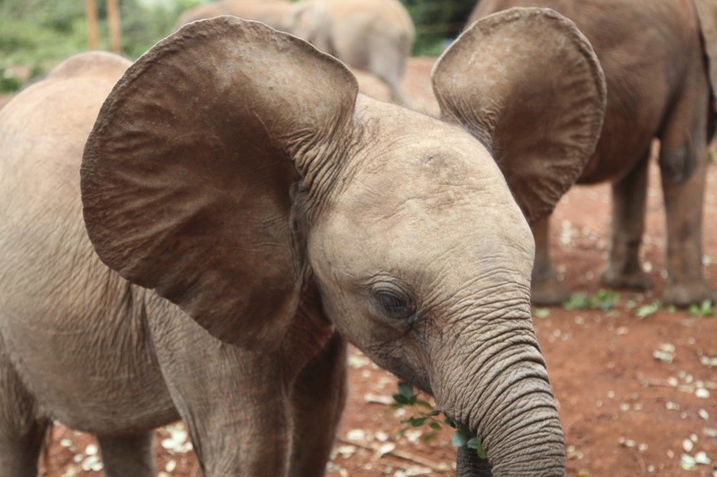 19-did-you-know-fascinating-facts