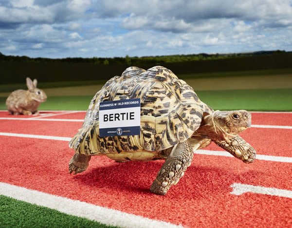 2-check-out-these-stunning-animal-world-records