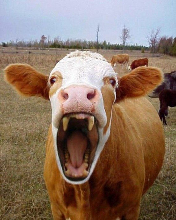 20-did-you-know-fascinating-facts