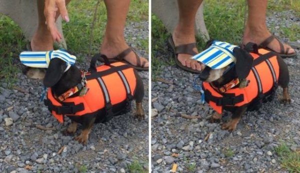 20-perfectly-timed-pics-of-animals-being-hilarious