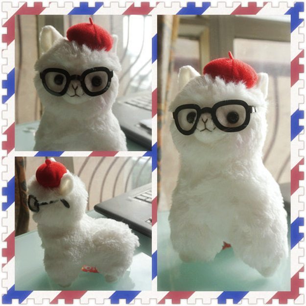 24-christmas-gift-ideas-for-animal-lovers