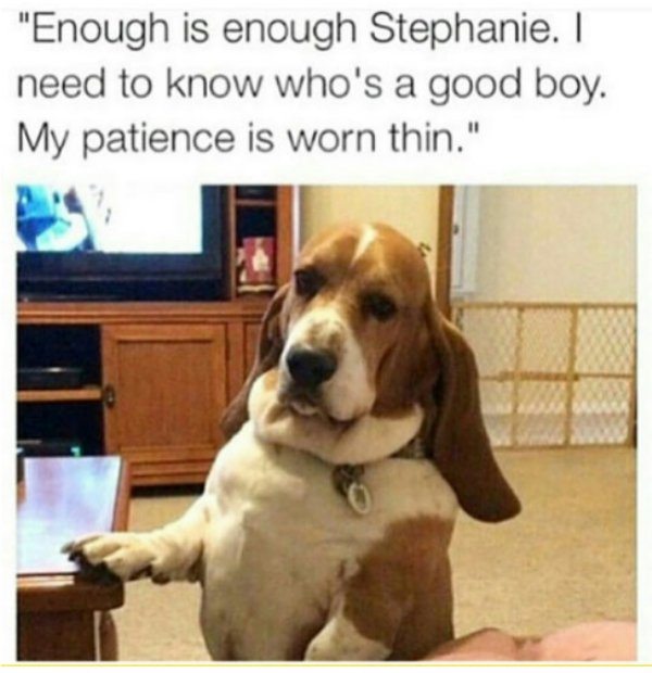 24-perfectly-timed-pics-of-animals-being-hilarious