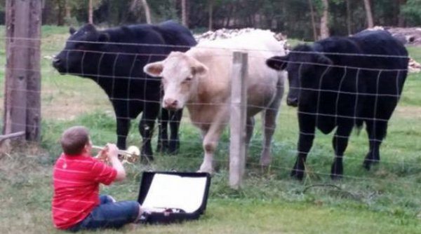 25-perfectly-timed-pics-of-animals-being-hilarious