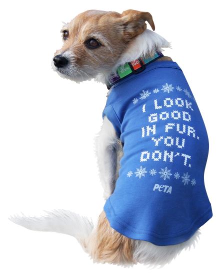 26-christmas-gift-ideas-for-animal-lovers