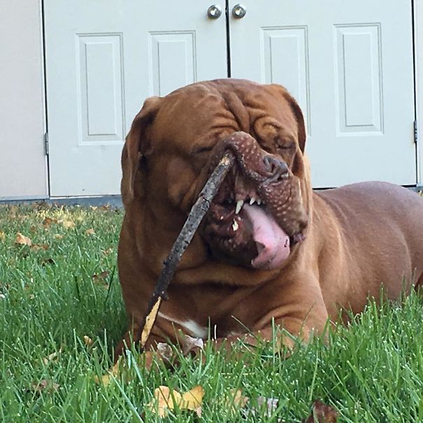 4-non-photogenic-animals-that-are-actually-lovely