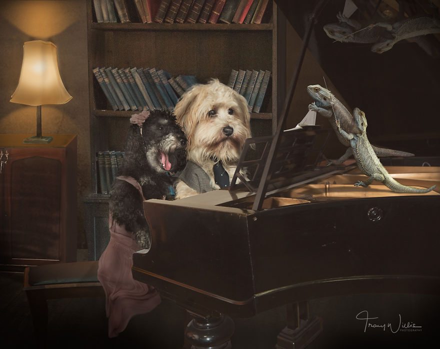 4-photoshopped-animals-surreal-universe