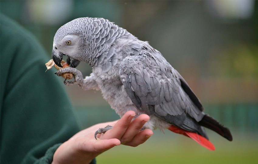 6-did-you-know-fascinating-facts