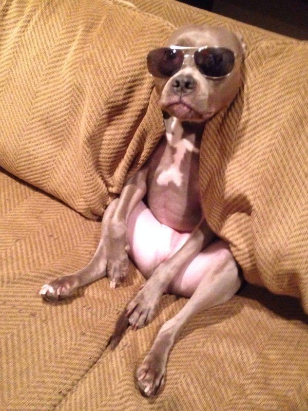 8-perfectly-timed-pics-of-animals-being-hilarious