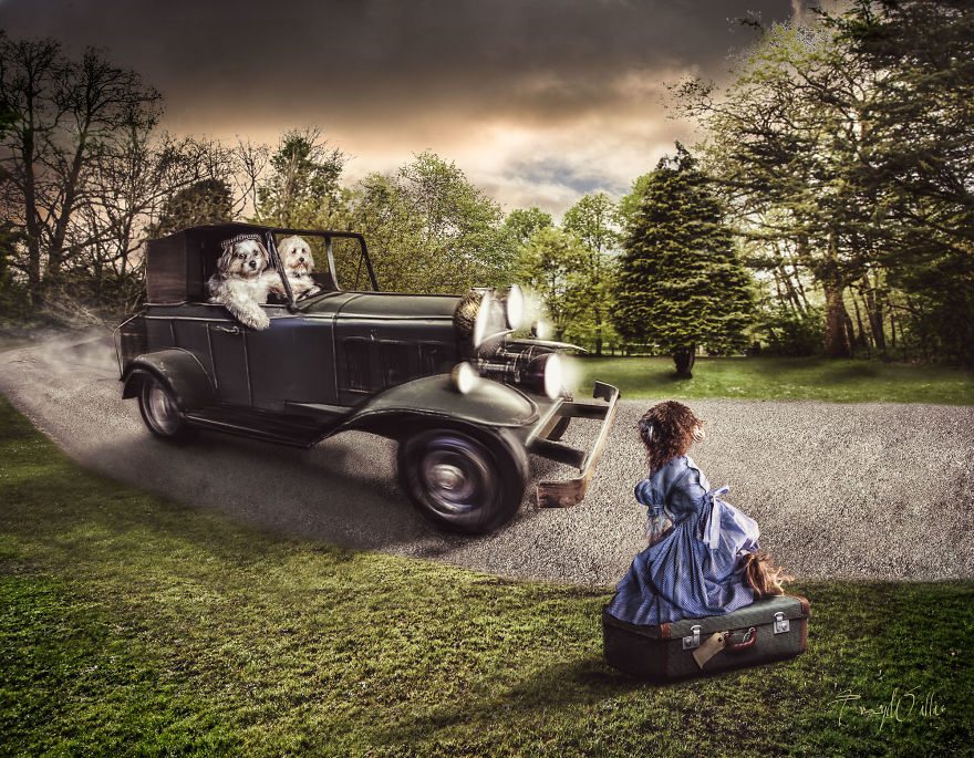 9-photoshopped-animals-surreal-universe