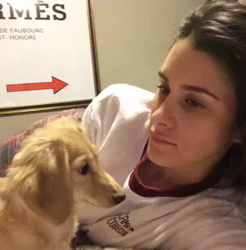 1-funniest-animal-gifs-in-the-internet-history