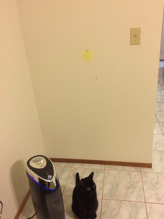 15-how-these-people-saved-christmas-trees-is-brilliant