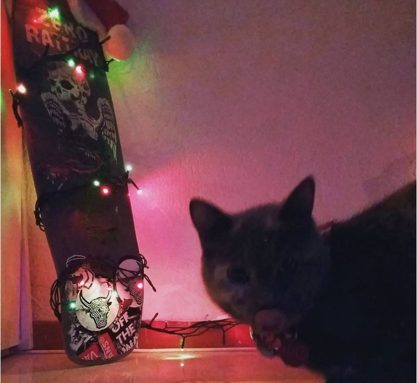 17-how-these-people-saved-christmas-trees-is-brilliant