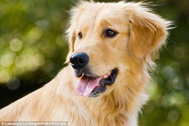 19-crazy-animal-facts-you-could-never-guess