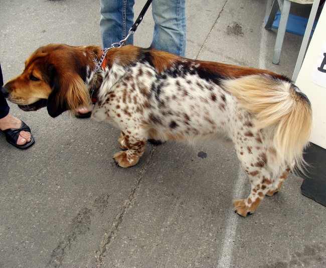 9-unique-animals-showing-nature-sense-of-humor