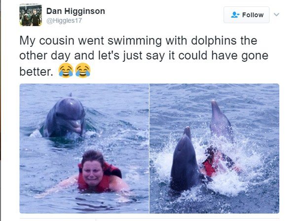 1-unlucky-people-who-tried-to-bond-with-grumpy-animals