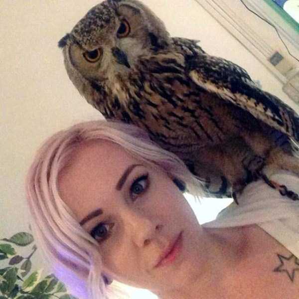 10-pets-and-their-hilarious-reaction-to-selfies