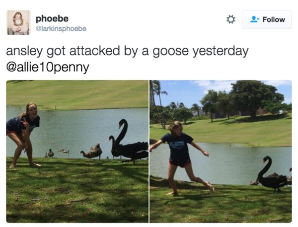 14-unlucky-people-who-tried-to-bond-with-grumpy-animals