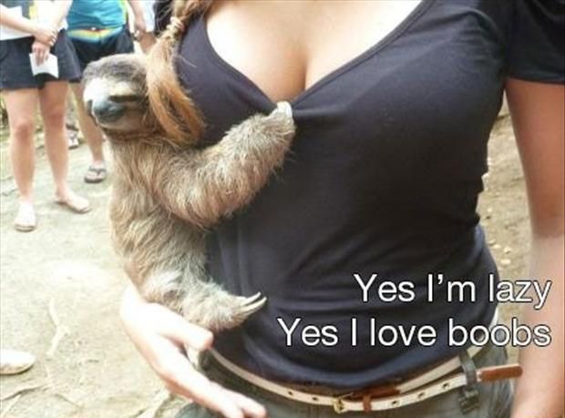 15-hilarious-moments-between-girls-and-animals