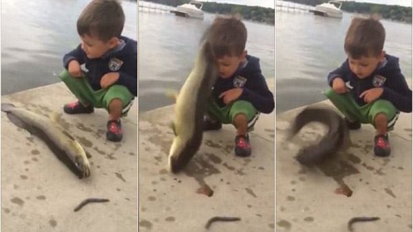 17-unlucky-people-who-tried-to-bond-with-grumpy-animals