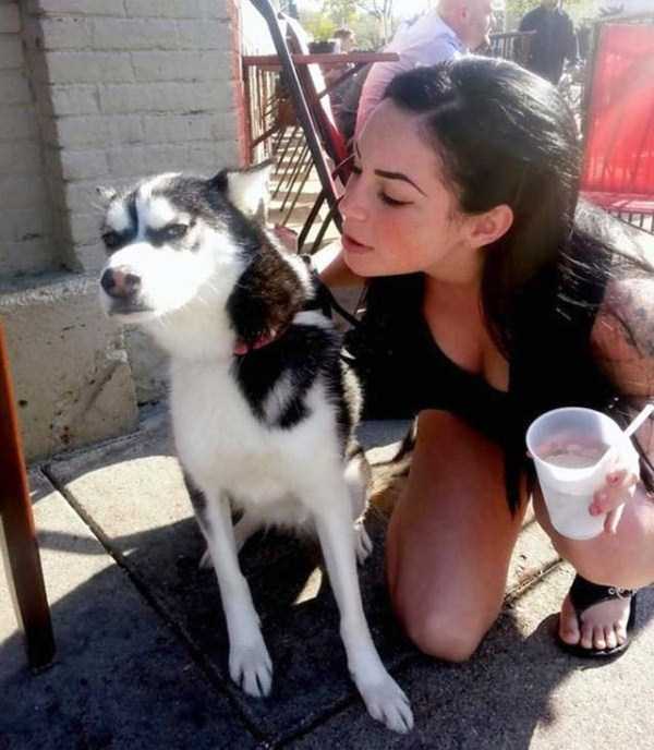 3-pets-and-their-hilarious-reaction-to-selfies