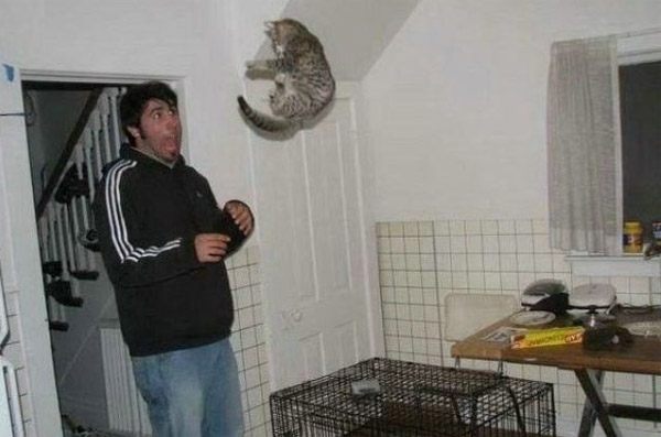 4-unlucky-people-who-tried-to-bond-with-grumpy-animals