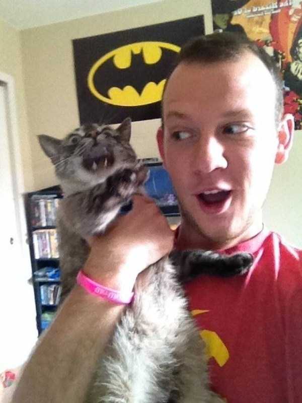 6-pets-and-their-hilarious-reaction-to-selfies