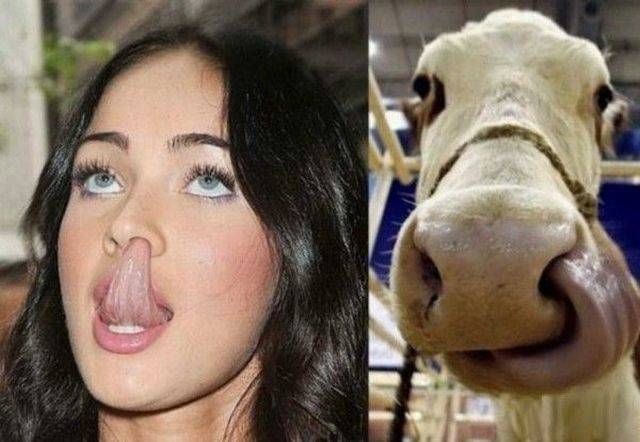 7-hilarious-moments-between-girls-and-animals