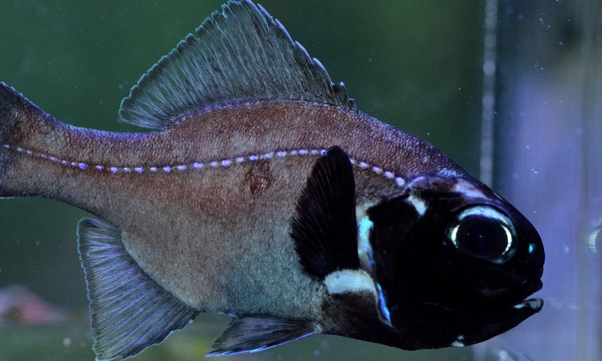 screen-shot-2013-07-06-at-7-37-25-pm