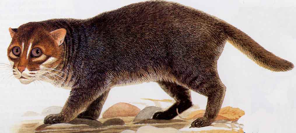 tumblr_nlqqydjXIW1upne1uo1_1280