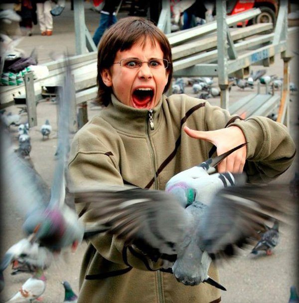 12-these-photos-prove-that-not-all-animals-love-girls