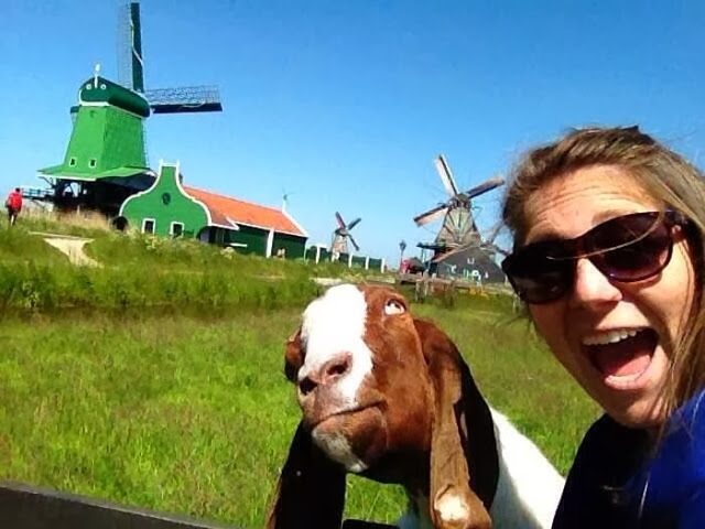 13-animal-and-human-selfies-hilarious-awesome
