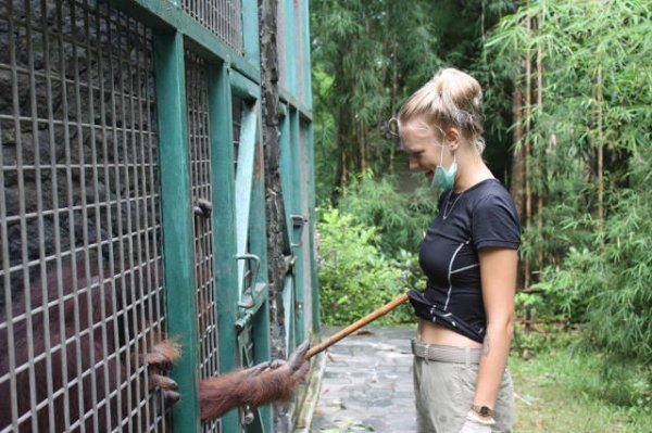 15-animals-engine-that-power-the-internet