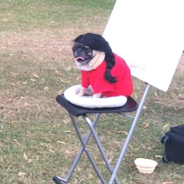 17-animals-engine-that-power-the-internet