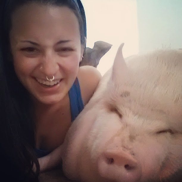 19-animal-and-human-selfies-hilarious-awesome