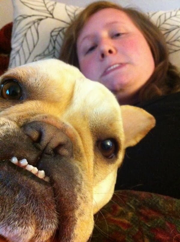 20-animal-and-human-selfies-hilarious-awesome