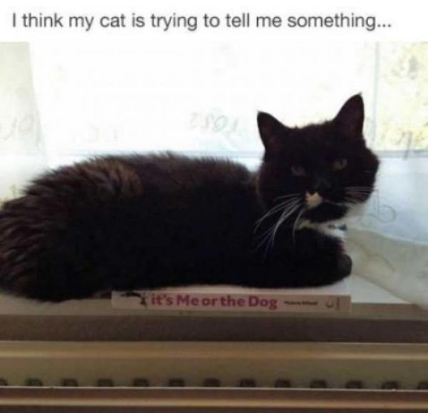 22-animals-engine-that-power-the-internet