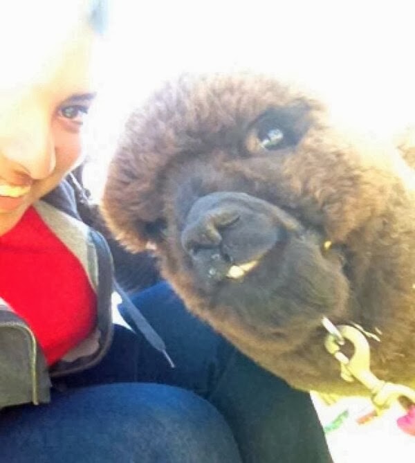 24-animal-and-human-selfies-hilarious-awesome
