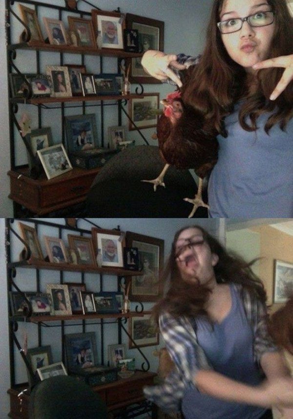 24-these-photos-prove-that-not-all-animals-love-girls