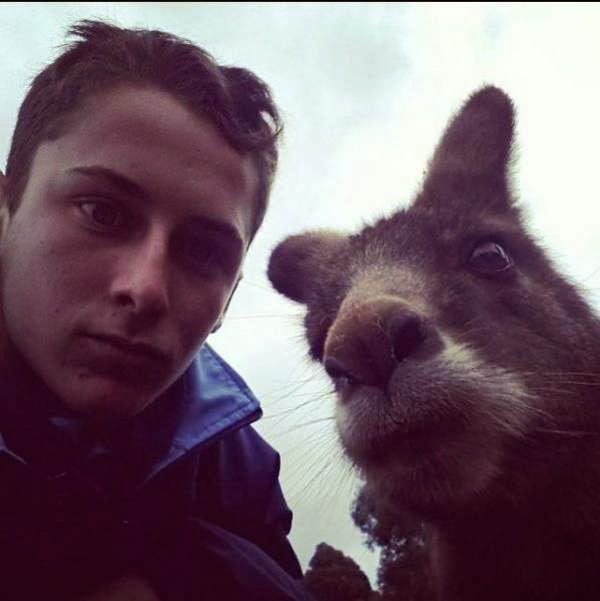 4-animal-and-human-selfies-hilarious-awesome