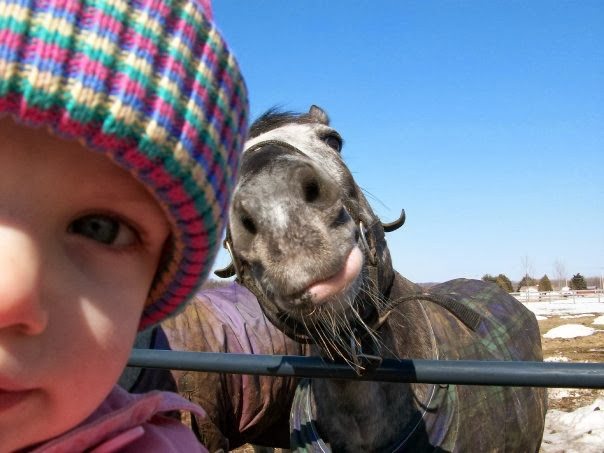 6-animal-and-human-selfies-hilarious-awesome