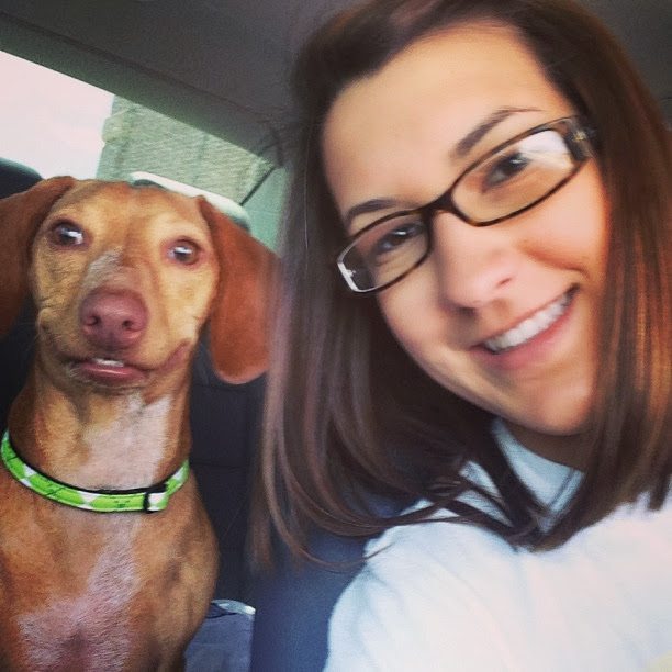 9-animal-and-human-selfies-hilarious-awesome