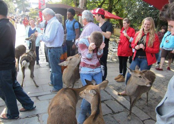 9-these-photos-prove-that-not-all-animals-love-girls