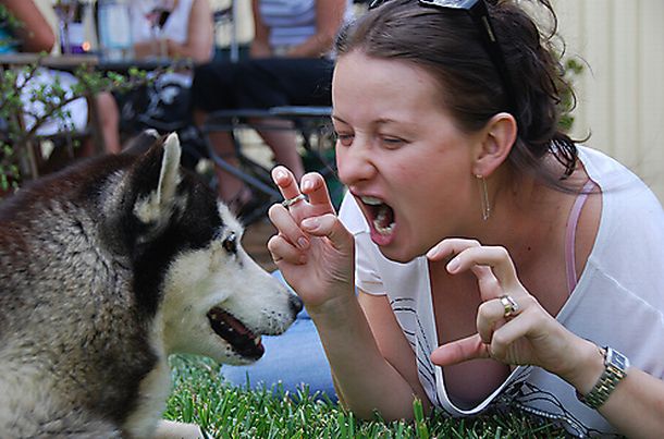 11-cute-animal-moments-with-owners