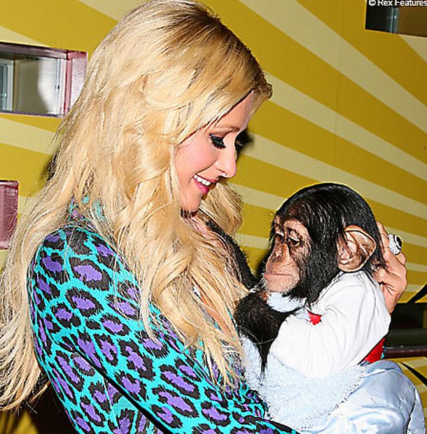 12-cute-animal-moments-with-owners