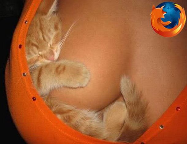 13-cute-animal-moments-with-owners