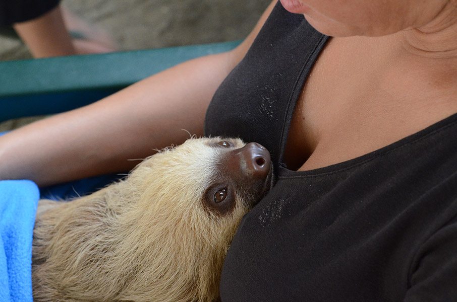 18-cute-animal-moments-with-owners