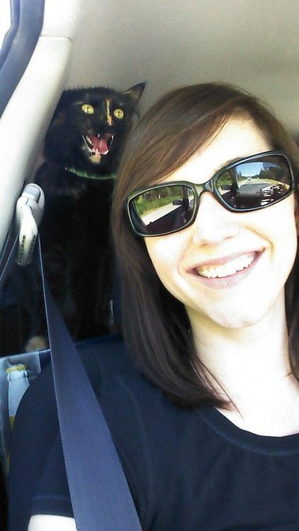 19-animal-photobombs-that-made-pics-even-more-hilarious