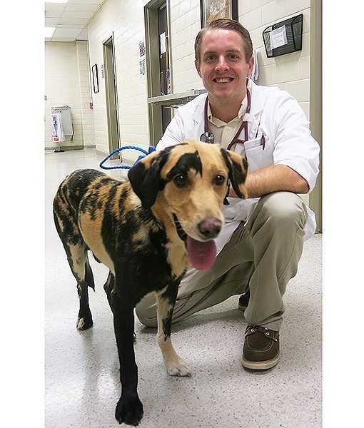 2-cute-animals-really-strange-markings