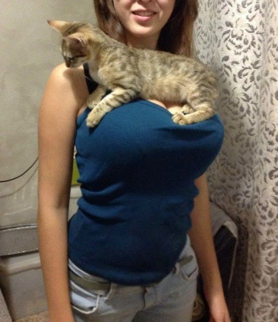 22-cute-animal-moments-with-owners